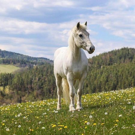 Апартаменты Farma Malenice Экстерьер фото